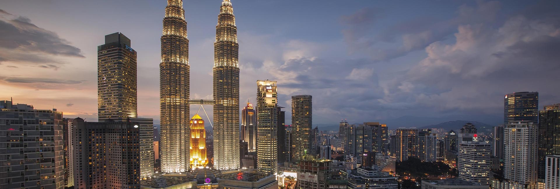  根据客户需求，提供技术支持